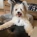 Profile Picture of Wilbur Marshall (@wilbur.marshall.528) on Facebook