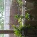 Profile Picture of Sherry Bascomb (@sherrybascomb) on Pinterest