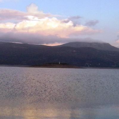 Profile Picture of MVidačić (@MarkoVidacic) on Twitter