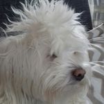 Profile Picture of clauss Stéphanie (@kyelau50) on Instagram