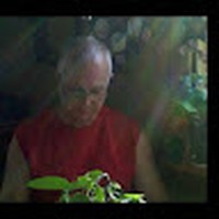 Profile Picture of Steven Muse (@steven-muse-2) on Quora