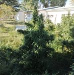 Joe Miera (Big Joe) - Facebook Profile Picture of Joe Miera (Big Joe) (@joe.miera.18) on Facebook