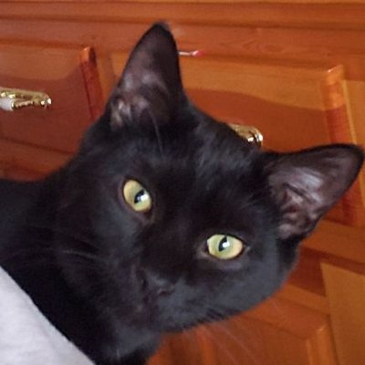 Profile Picture of Heather Stapleton (@Heather63298788) on Twitter