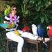 Profile Picture of Debbi Fixen (@debbifixen) on Pinterest