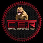 Profile Picture of Rafael Mattos (@rafaelmattosaraujo) on Instagram