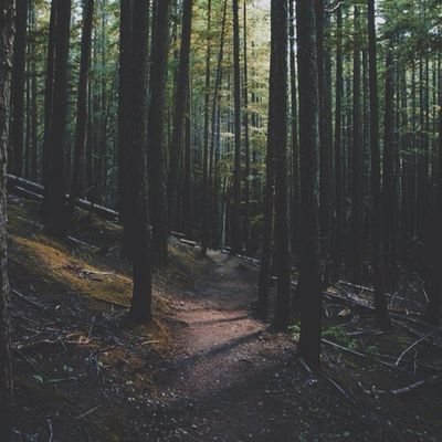 Profile Picture of Andy (@andy_cid_) on Twitter