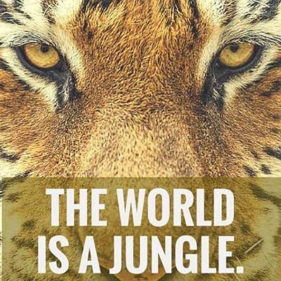 Profile Picture of Alexander Sang (@Alexandersang3) on Twitter