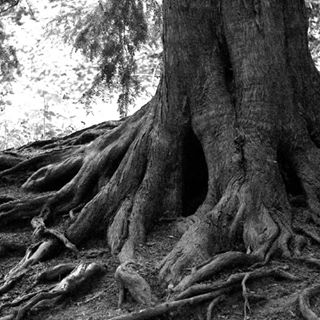 Profile Picture of Craig Brinkmeier (@craig.brinkmeier) on Facebook