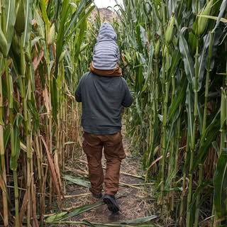 Profile Picture of Adam Lamond (@lamondadam) on Instagram