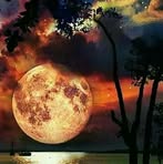 Profile Picture of Georges Bakhos (@georges.bakhos.2025) on Facebook