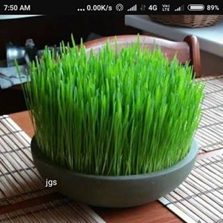 Profile Picture of Krishna Soni (@Krishna-Soni) on Facebook