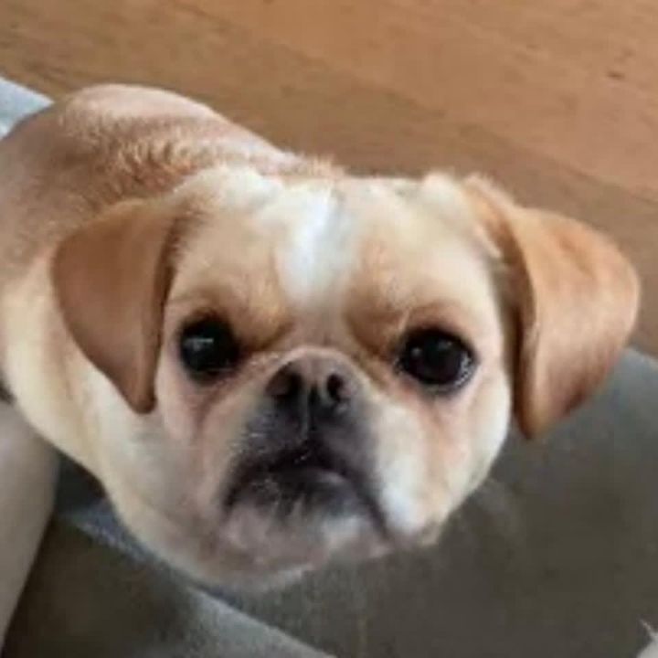 Profile Picture of Greg Levine (@@greglevine1) on Tiktok
