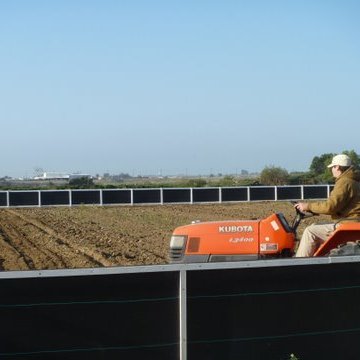 Profile Picture of Harry's Berries (@Harrys_Berries) on Twitter