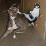 Profile Picture of Thomas92 (@thomaspouliot006) on Instagram