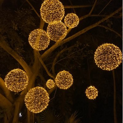 Profile Picture of Curt Haws (@curt_haws) on Twitter