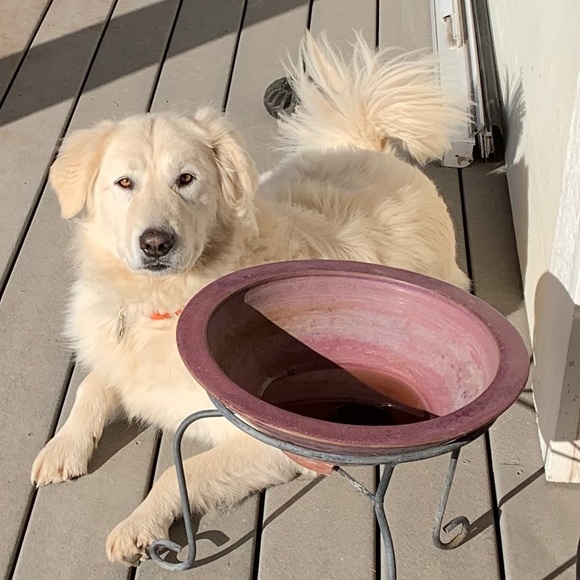 Profile Picture of Wei-jian Pan (@panweijian) on Poshmark