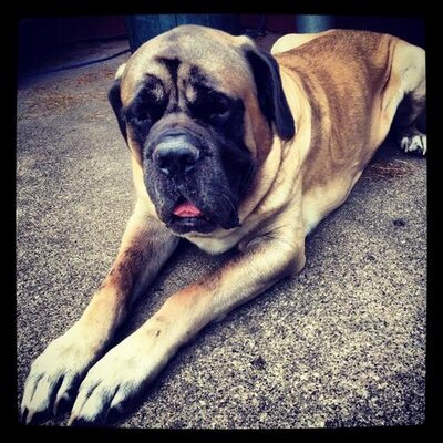 Profile Picture of Mark Rustad (@markdrustad13) on Twitter
