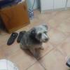 Profile Picture of Douglas Hillyer375 (@douglashillyer98) on Tiktok