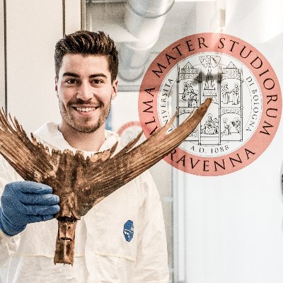 Profile Picture of Adam Andrews (@AdamJonAndrews) on Twitter