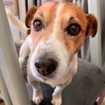 Profile Picture of deborahpoolman (@deborah_poolman) on Instagram