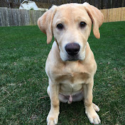 Profile Picture of Danielle Vaeth (@daniellevaeth737) on Youtube