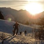 Profile Picture of Patrick saltonstall (@pgsaltonstall) on Instagram