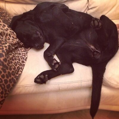 Johnson Tad - Twitter Profile Picture of Johnson Tad (@JohnsonTad247) on Twitter