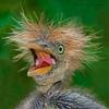 Profile Picture of Brian slaton (@brianslaton6) on Tiktok