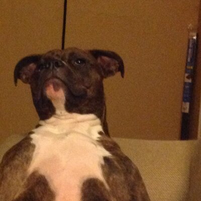 Profile Picture of Ian Brink (@Isbrink) on Twitter