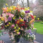 Profile Picture of Mark Polanski (@markpolanski8) on Instagram