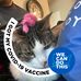 Profile Picture of Nick McGonagle (@nick.mcgonagle) on Facebook