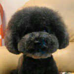 Profile Picture of jim poon (@jp817817) on Instagram