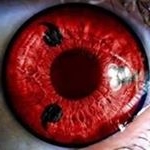 Profile Picture of Paul Danton (@therealawakened) on Instagram