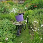 Profile Picture of Scott Brooks (@scott.brooksgardens) on Instagram