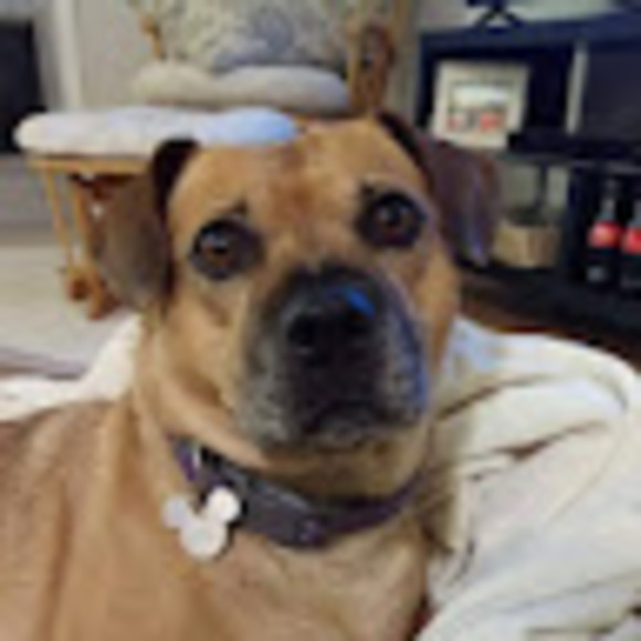 Profile Picture of Catherine Day (@catherineday950) on Poshmark