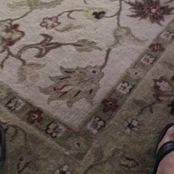 Jeff Vanburen - Poshmark Profile Picture of Jeff Vanburen (@jmvanburen) on Poshmark