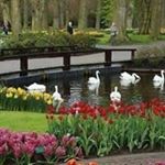 Profile Picture of Jacqueline Voegele Ahmed (@jasminahmed302) on Instagram