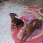 Profile Picture of joseph ober (@mms01joe) on Instagram