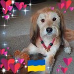 Profile Picture of Sharon Barton (@shazzab44) on Instagram