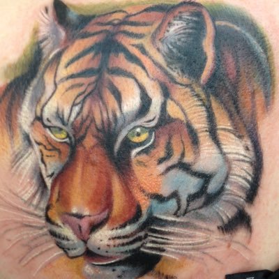 Profile Picture of Lisa Wolfe (@baileypup97) on Twitter