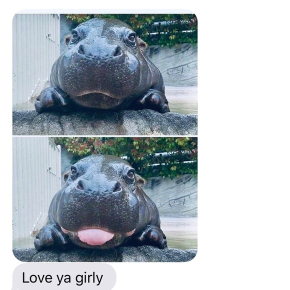 Profile Picture of Jeanine Bidinger (@jeaninebidinger) on Poshmark