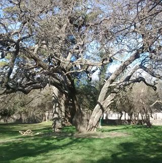 Profile Picture of Fanny Cairo (@fanny.cairo) on Facebook