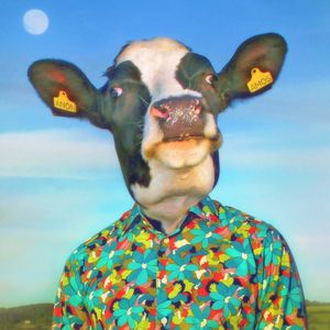 Profile Picture of Anon Amos (@anon.amos) on Myspace