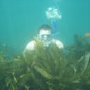 Profile Picture of Philip Storey (@pstorey11) on Youtube