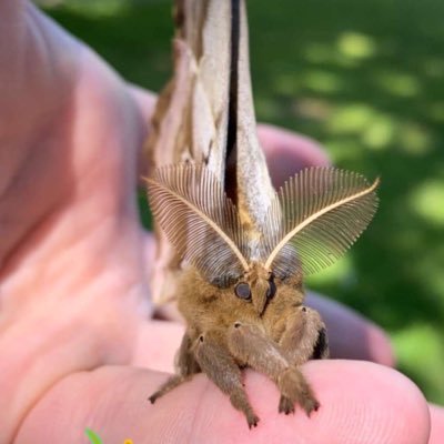 Profile Picture of Chloe Bishop! (@cleobishop1994) on Twitter