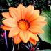 Profile Picture of Janet Honeycutt (@janet.honeycutt.33) on Facebook