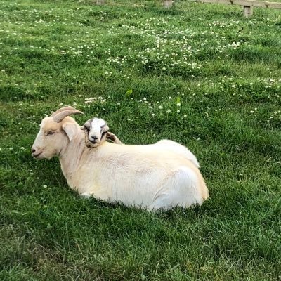 Profile Picture of Garytelfer (@garytelfer2) on Twitter