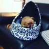 Profile Picture of Lucy Casey (@@lucy_casey123) on Tiktok