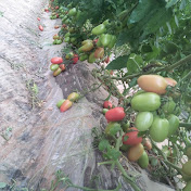 Omar Oudar - Youtube Profile Picture of Omar Oudar (@omaroudar9862) on Youtube