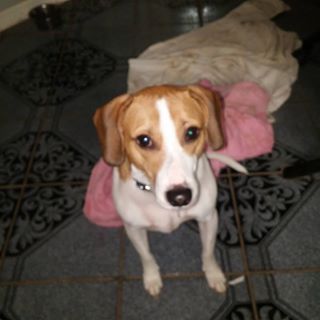 Profile Picture of Martin Poff (@martin.poff.1) on Facebook